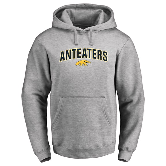 Men's Ash UC Irvine Anteaters Proud Mascot Pullover Hoodie