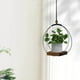 thumbnail image 2 of Macetero colgante de madera, diseño negro metalizado, cuerda ajustable, base estable, para exposición de plantas en interiores y exteriores, suculentas, cactus, 2 of 4