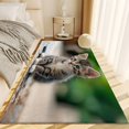 thumbnail image 4 of Machine Washable Area Rug 3x5 ft for Dining Room, Bedroom, and Living Room, Animal Gray Cat Stain and Water-Resistant Non-Slip Rug, Pet and Kid Friendly, 4 of 7