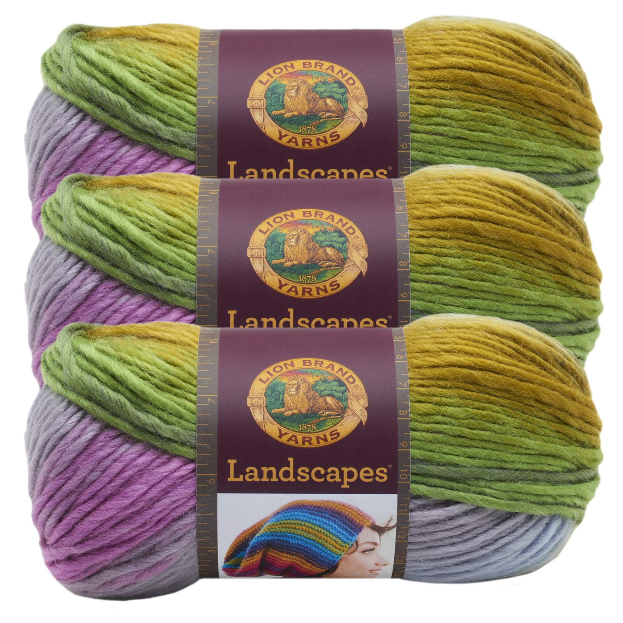 Lion Brand Yarn Landscapes Wild Flowers SelfStriping Medium Acrylic