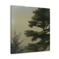 thumbnail image 2 of Cedar Tree Majesty. - Canvas, 2 of 10