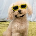 thumbnail image 1 of Stylish Windproof Goggles For Small Breed Puppies Outdoor Adventure Protective Eyewear With -Fog Design And Secure Adjustable Straps For Dogs, 1 of 2