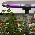 thumbnail image 3 of 12 Pods Hydroponics Growing System, Indoor Garden with 30W 120 LED Grow Light, Silent Pump System, Automatic Timer, 3 of 9