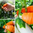 thumbnail image 4 of BOLLSLEY 5 Pcs Garden Silicone Thumb Knife Tools- Separator Finger Knife Havesting Plant Picking Knife Gardening Gifts Plucking Thumb Finger Cutter for Trimming Garden Plants Strawberry Vegetables, 4 of 5
