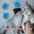 thumbnail image 4 of 3Pcs Catnip Ball Organic Cat Ball Catnip Toy Interactive Cat Toy Blue, 4 of 5