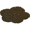thumbnail image 3 of Ekena Millwork 25 5/8"OD x 1"P Shell Ceiling Medallion, Hand-Painted Brass, 3 of 6