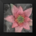 thumbnail image 2 of Kimberly, Allen 15x15 Black Modern Framed Museum Art Print Titled - Star Bloom, 2 of 5