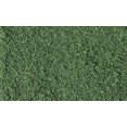 thumbnail image 1 of Gazon Grossier Vert Foncé (32 oz. Shaker) Woodland Scenics, 1 of 10