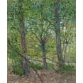 thumbnail image 2 of van Gogh, Vincent 20x23 White Modern Wood Framed Museum Art Print Titled - Trees, 2 of 4