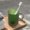 Army Green, variant on Ikohbadg Transparent Mouthwash Cup for Couples and Kids, Rinsing Cup with Handle, Durable Plastic Dental Jar, Aesthetic Bathroom Accessory for Daily Oral Care