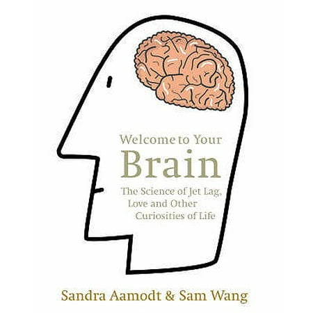 Welcome To Your Brain The Science Of Jet Lag Love And