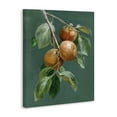 thumbnail image 4 of Stupell Industries Autumn Harvest Fruits Food & Beverage Painting Wrapped Canvas Art Print Wall Art, 16 x 20, 4 of 8
