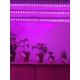 thumbnail image 1 of 1pc Plant Growth Lamp Strip, 1 of 5
