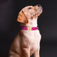 thumbnail image 6 of Didog Personalized Dog Collars Pet Waterproof Nylon Custom Laser Engraved Metal Buckle, 6 of 8