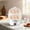 White, variant on Easy Egg Cooker Electric 14-Egg Capacity,Soft,Medium,Hard-Boiled Egg Cooker with Auto Shut-Off,Measuring Cup Included,BPA Free(Sky Blue)