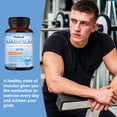 thumbnail image 6 of Didacat Triple Complex Magnesium Supplement,with Malate Glycinate and Citrate,300mg ,60 Vegetable Capsules, 6 of 8