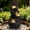 Gray, variant on Mintazer 25.6" Multi-Tier Stacked Rock Waterfall Fountain with LED Lights, Outdoor Garden Fountain for Patio Porch Backyard