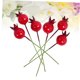 thumbnail image 3 of BRIGHTFUFU 50Ud Pomegranate Prop Para Duradera En Muestras Y Escenarios, 3 of 8