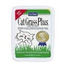 Cat Grass Plus