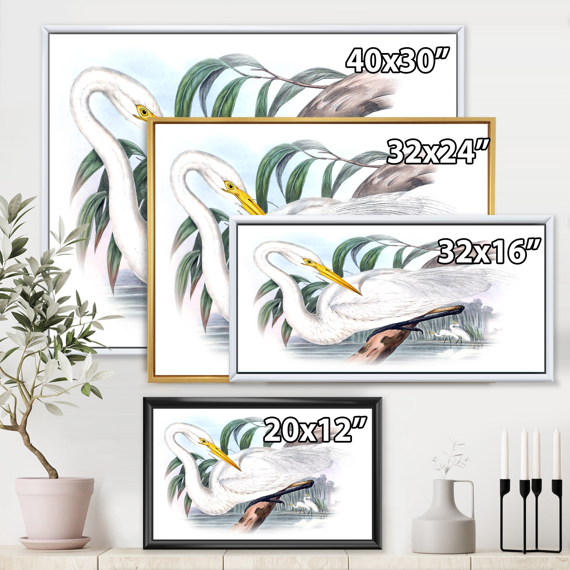 Designart 'Ancient Australian Birds IV' Traditional Framed Canvas Wall Art Print