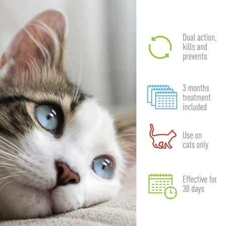Adams Plus Flea & Tick Spot On for Cats 5 lbs and Over 3 month supply