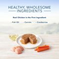 thumbnail image 4 of BLUE Healthy Gourmet Paté Kitten Chicken Entrée Wet Cat Food, 4 of 5