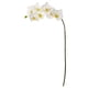 thumbnail image 1 of 32 Flores Artificiales De Orquídeas Phalaenopsis (Juego De 6), 1 of 3