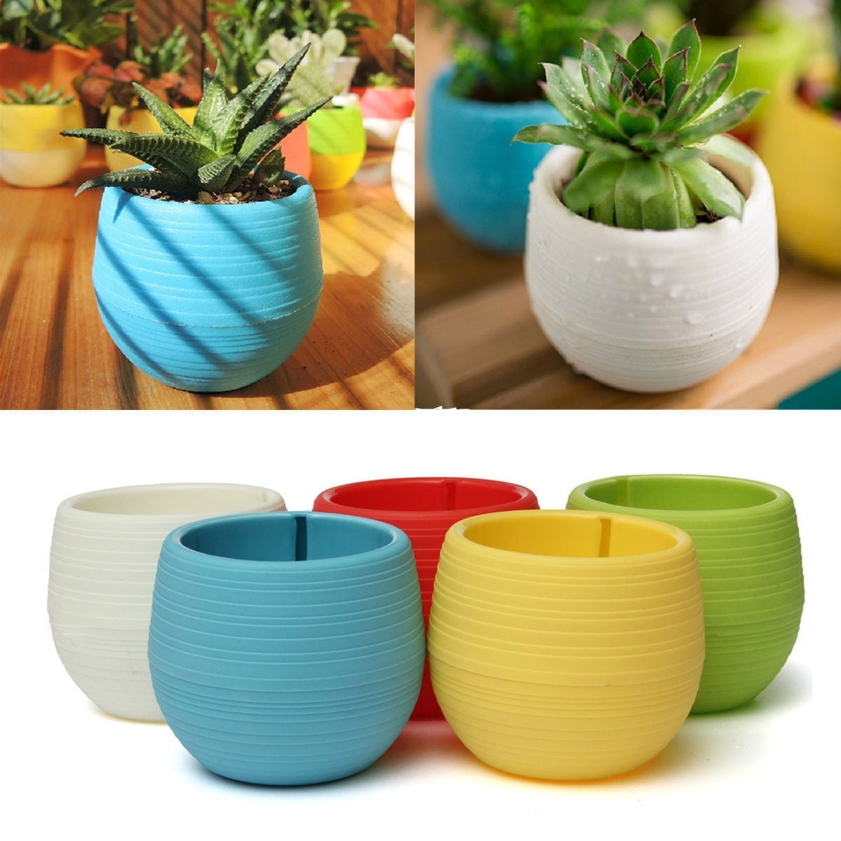 Colorful 7*6.5cm Round Plastic Flower Pot Plant Planter