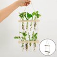 thumbnail image 3 of Hanging Glass Vase Flower Plant Hydroponics Bottle Container Hanging Hydroponic Plant Test Tube Container Decor, 3 of 8