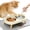 White, variant on Elevated Cat Bowls with Food Mat, Splash Proof Anti Vomiting Raised Cat Food and Water Bowl Set, 2 Stainless Steel Dishes for Cats and Puppy, Pet Bowl for Indoor Cats White