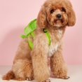 thumbnail image 2 of Pet Cute Turtle Design Backpack For Dogs And Cats, Pet Bag For Outdoor Walking Traveling, 2 of 4