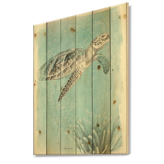 Designart 'Coastal Sea Life I Turtle sketches' Nautical & Coastal Print on Natural Pine Wood