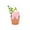 PK, variant on Lksixu Easter Decorations Easter Bunny Mini Planter Adorable Pot with Tray Easter Decorations for Home Easter Table Decor Spring Home Accents Easter Basket Stuffers Spring Decor for Party Holiday