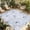 Blue, variant on Purple Flowers Outdoor Rug for Patio/Deck/Porch, Non-Slip Large Area Rug 4 x 6 Ft, Botanical Florals Plants Country Aesthetic Indoor Outdoor Rugs Washable Area Rugs, Camping Rug Carpet Runner