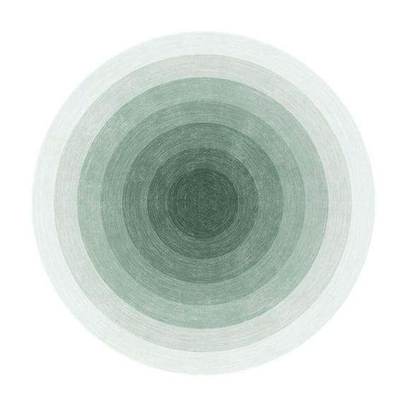 Lilixerw 15.7 x 15.7 inch Round Rug Circle Carpet,Washable Non Slip Area Rugs for Living Room Sofa Bedroom Decor