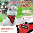 thumbnail image 3 of Cat Harness and Leash for Walking, Escape Proof Soft Adjustable Vest Harnesses for Cats, Easy Control Breathable Reflective Strips Jacket, Black, S, 3 of 8