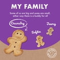 thumbnail image 5 of (Pack Of 6) Buddy Biscuits Dog Treat Biscuit Assortment 16 Oz, 5 of 5
