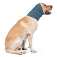 thumbnail image 4 of CBFFDC Ear Muffs Headband Dog Ear Cover High Elasticity Soft Solid Color Wear Resistant Anxiety Relief Noise Protection, 4 of 7
