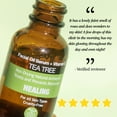 thumbnail image 4 of Purifect Tea Tree Facial Oil Serum for Healing and Calming Irritated Skin - 1 Fl Oz, 4 of 7