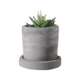 thumbnail image 1 of Mini Cute Flowerpot With Tray Cement Flowerpot Creative Simple Succulent Plants Flowerpot, 1 of 11