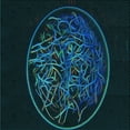 thumbnail image 1 of Ahgly Company Machine Washable Indoor Square Transitional Teal Green Area Rugs, 8' Square, 1 of 7