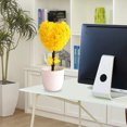 thumbnail image 6 of Flowers LUXLEVO Heart Shaped Bonsai Mini Potted for Home Desk Small Ornamental Tabletop Decoration, 6 of 6