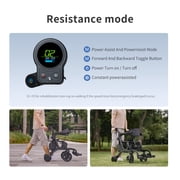 Sinceborn 4 in 1 Intelligent Electric Rollator Walker with Seat, Lightweight Foldable Wheelchair Walker Combo,Detachable Footrests, 10 Wheels Electric Wheechair for Adults,High Style
