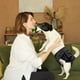 thumbnail image 4 of Pañales para perros, paquete de 3, pañales lavables para perros, pañales reutilizables para perros, bragas para perras, compresas sanitarias para perros para diferentes tipos de perros, 4 of 5