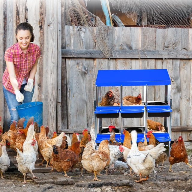 AKDSteel Galvanized Sheet + Pp Egg Laying Nest Box With Plastic Handle, Durable Chicken Nesting Box For Chicken Coop And Chicken Run, Practical Chicken Coop Accessory