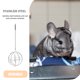 thumbnail image 5 of 1pc Esfera Hámster Conejo Alimentador Mascota Hierba Dispensador Bola de alimentación colgante Plata, 5 of 5
