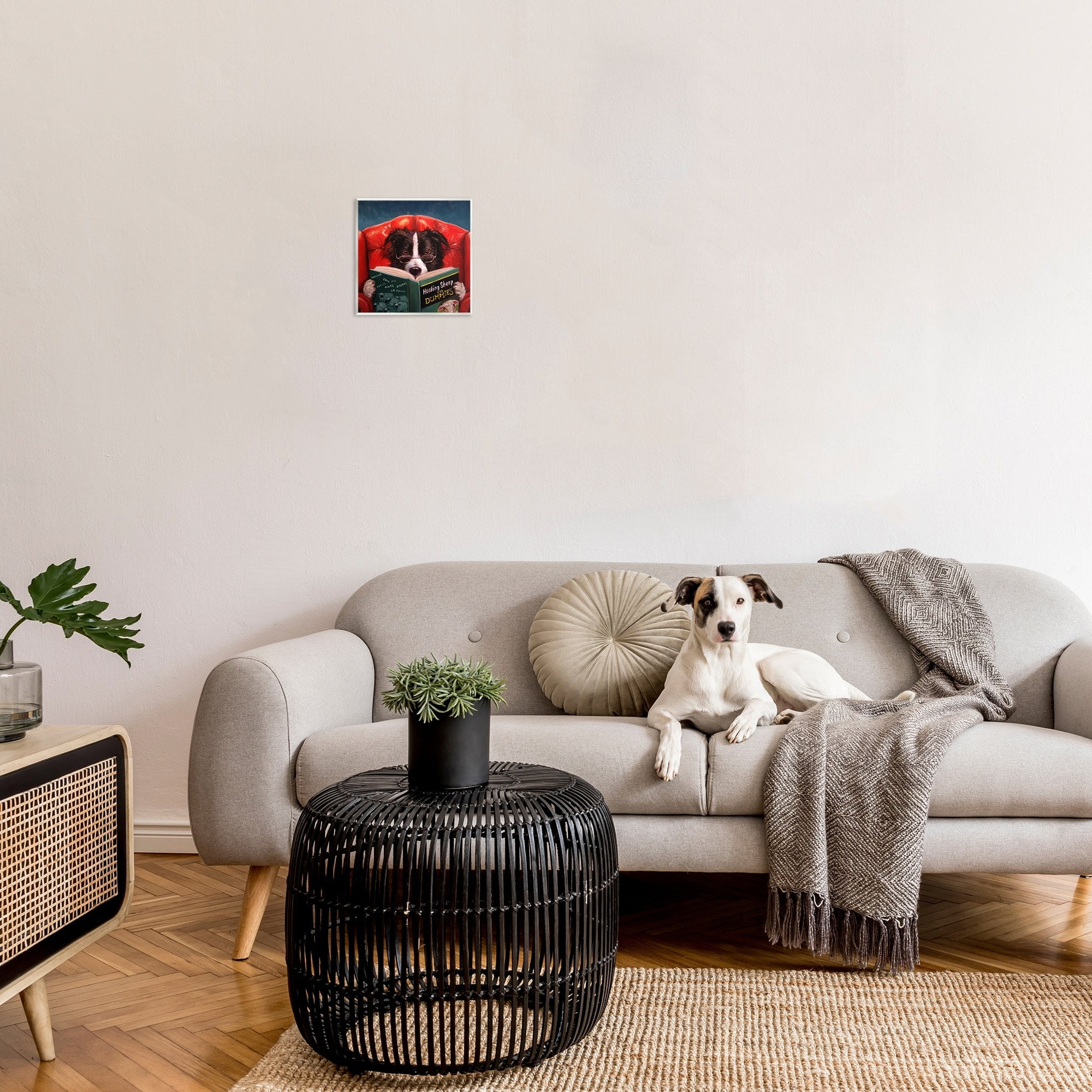 The Stupell Home Decor Herding Sheep Dog Reading for Dummies Funny Wall Plaque Art Design By Lucia Heffernan