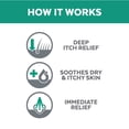 thumbnail image 5 of Naturel Promise Clinic Aid Hot Spot Itch Relief Spray for Dogs & Cats, 8oz, 5 of 8