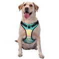 thumbnail image 1 of Fotbe Retro Palm Beach Sunset Arnés para Perro con Estampado –Chaleco Ajustable Acolchado con Asa de Control para Perros Grandes-Medium, 1 of 6