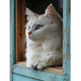 thumbnail image 1 of Qisvanset Framed Canvas Wall Art 12x16 Inch Rustic Window White Cat Farmhouse Pet Lover Art, 1 of 5